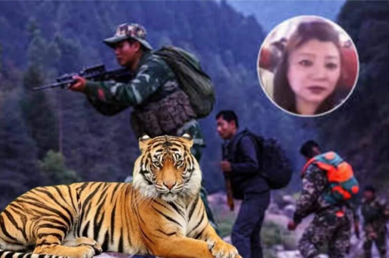 भारत-चीन सीमा, सिक्किम से गिरफ्तार अंतर्राष्ट्रीय बाघ तस्कर लाचुंगपा; MP और दिल्ली की टीमों ने की ऐतिहासिक कार्रवाई
