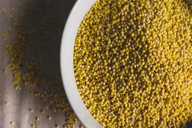 इंदौर में तीन दिवसीय जैविक महोत्सव 12 दिसंबर से, ग्रामीण हाट बाजार में होगा आयोजन इंदौर में तीन दिवसीय जैविक महोत्सव 12 दिसंबर से, ग्रामीण हाट बाजार में होगा आयोजन