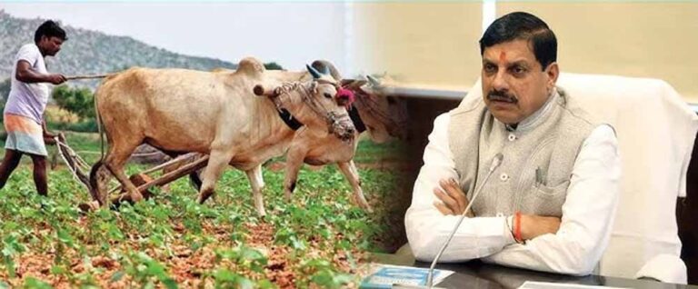 मुख्यमंत्री ने किसान कल्याण तथा कृषि विकास विभाग की समीक्षा में दिए निर्देश