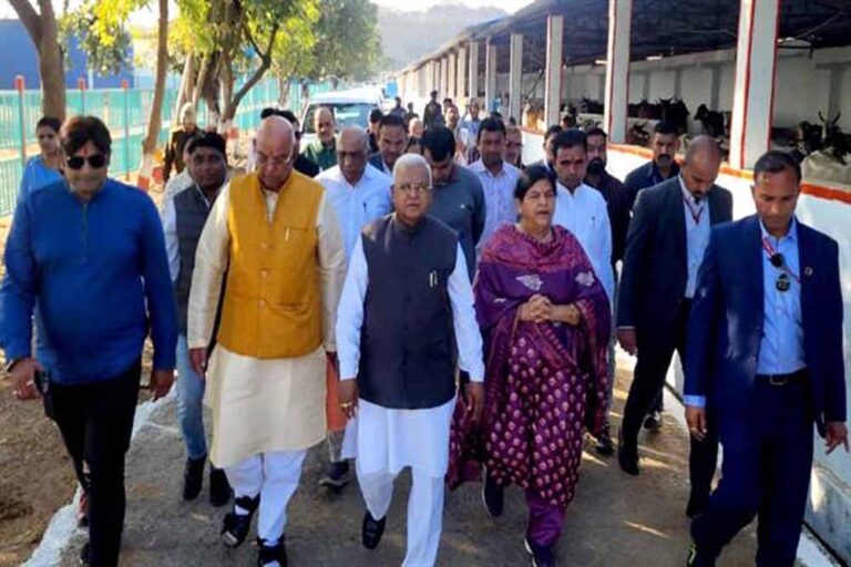 राज्यपाल पटेल ने किया गौवंश का पूजन मुरारीलाल तिवारी गौशाला का किया भ्रमण राज्यपाल पटेल ने किया गौवंश का पूजन मुरारीलाल तिवारी गौशाला का किया भ्रमण