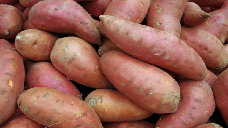 क्या आप शकरकंद को सिर्फ सब्जी समझते हैं? इसके 6 हैरान कर देने वाले फायदे जानकर चौंक जाएंगे क्या आप शकरकंद को सिर्फ सब्जी समझते हैं? इसके 6 हैरान कर देने वाले फायदे जानकर चौंक जाएंगे