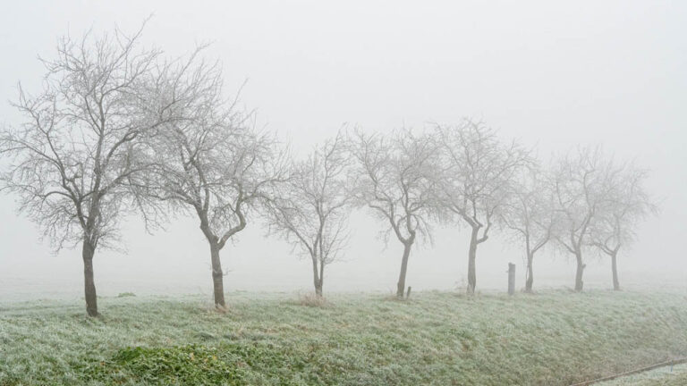 मध्यप्रदेश में सर्दी बढ़ी, 25 शहरों में पारा 10° से नीचे, खजुराहो में सबसे ठंडा; 15 जिलों में कोहरा, उत्तर की बर्फीली हवाओं ने बढ़ाई कंपकंपी मध्यप्रदेश में सर्दी बढ़ी, 25 शहरों में पारा 10° से नीचे, खजुराहो में सबसे ठंडा; 15 जिलों में कोहरा, उत्तर की बर्फीली हवाओं ने बढ़ाई कंपकंपी