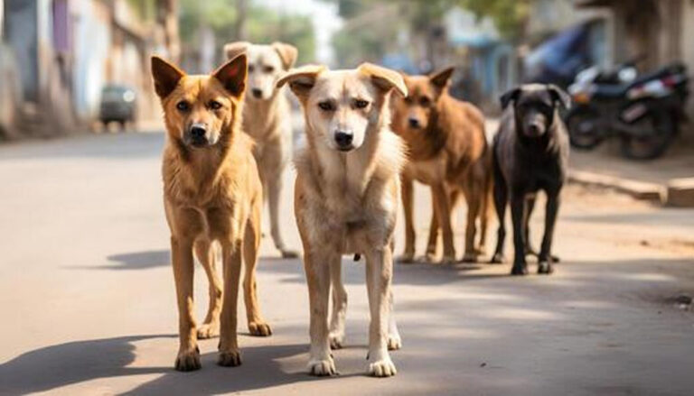 MP में कुत्तों और मवेशियों का ‘आतंक’ खत्म होगा, स्कूल और अस्पतालों के बाहर बनाई जाएगी ‘किलानुमा’ दीवार