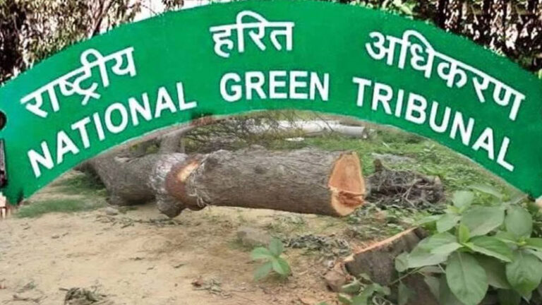 NGT ने पूछा जवाब: मध्य प्रदेश में 15 लाख पेड़ों की कटाई का प्रस्ताव चर्चा में NGT ने पूछा जवाब: मध्य प्रदेश में 15 लाख पेड़ों की कटाई का प्रस्ताव चर्चा में