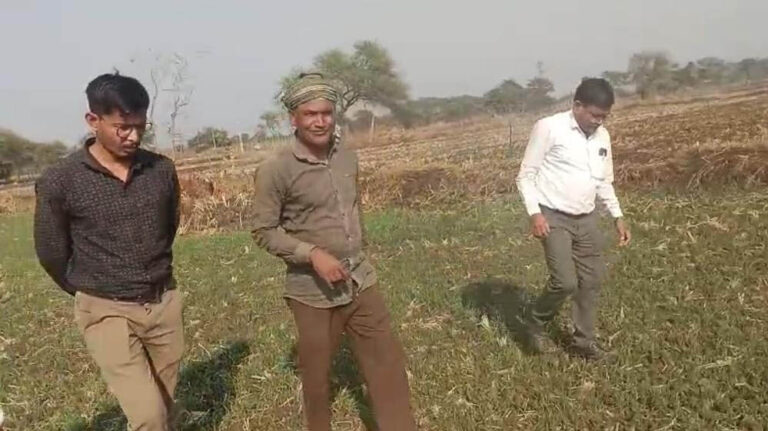 धमतरी : धमतरी जिले में फसल चक्र परिवर्तन एवं मृदा स्वास्थ्य सुदृढ़ीकरण की दिशा में महत्वपूर्ण पहल