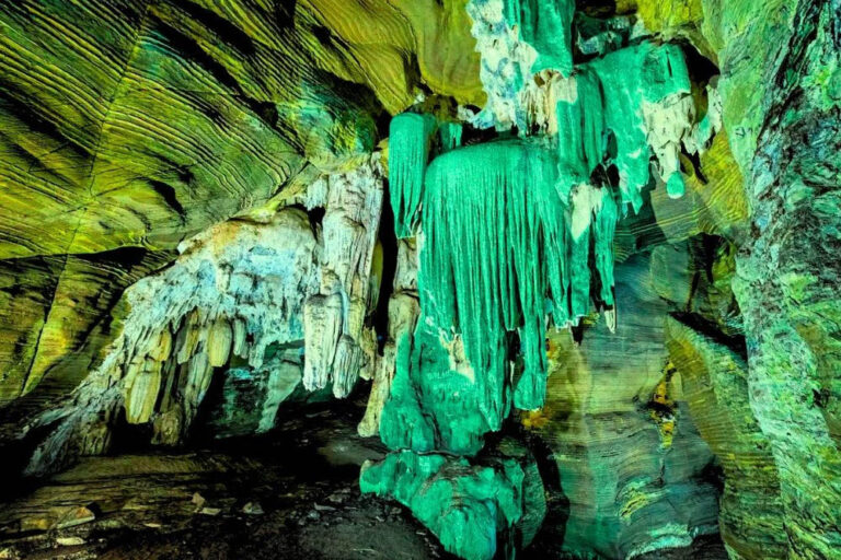 कांगेर घाटी में ‘ग्रीन गुफा’ का आगाज, पर्यटन स्थल को मिलेगा नया जीवन—आधिकारिक घोषणा