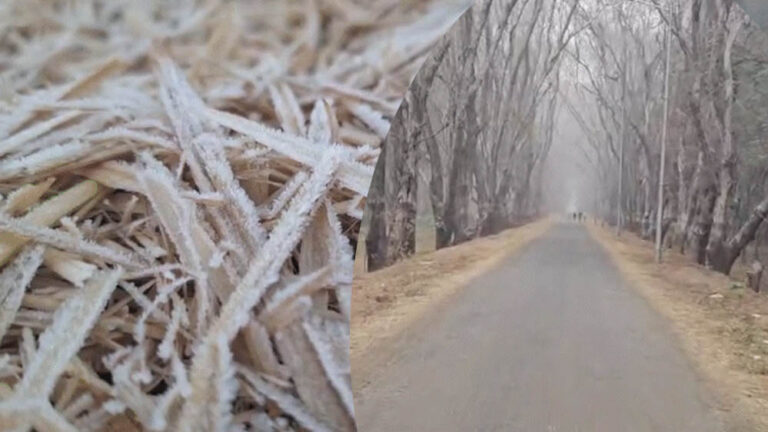 छत्तीसगढ़ में शीतलहर का अलर्ट: अंबिकापुर में 3.5°C पारा, अगले 2 दिन और गिरेगा तापमान