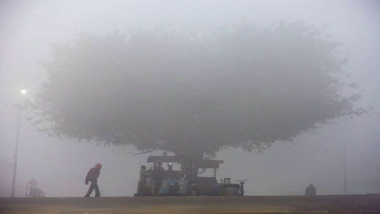 एमपी में घना कोहरा और शीतलहर, भोपाल-इंदौर ट्रेनें लेट, ग्वालियर में पारा 5 डिग्री तक लुढ़का