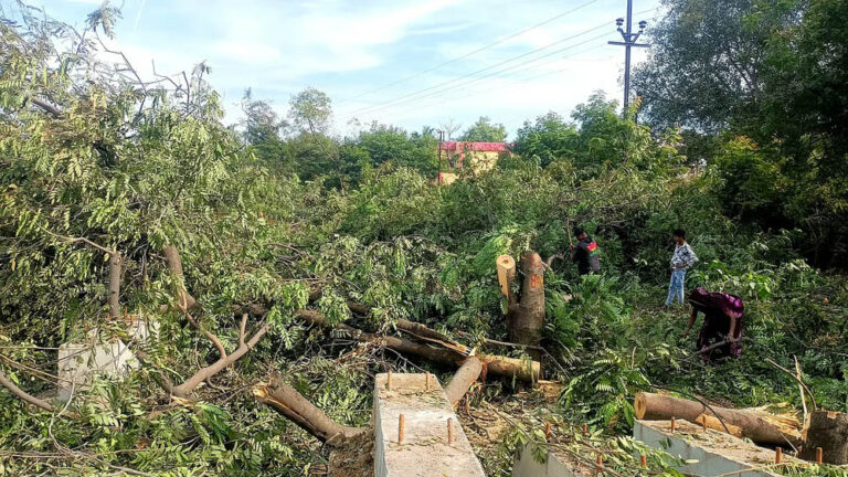अयोध्या बायपास के लिए 8 हजार पेड़ों की कटाई पर NGT की रोक, भोपाल की सांसे अब नहीं थमेंगी अयोध्या बायपास के लिए 8 हजार पेड़ों की कटाई पर NGT की रोक, भोपाल की सांसे अब नहीं थमेंगी