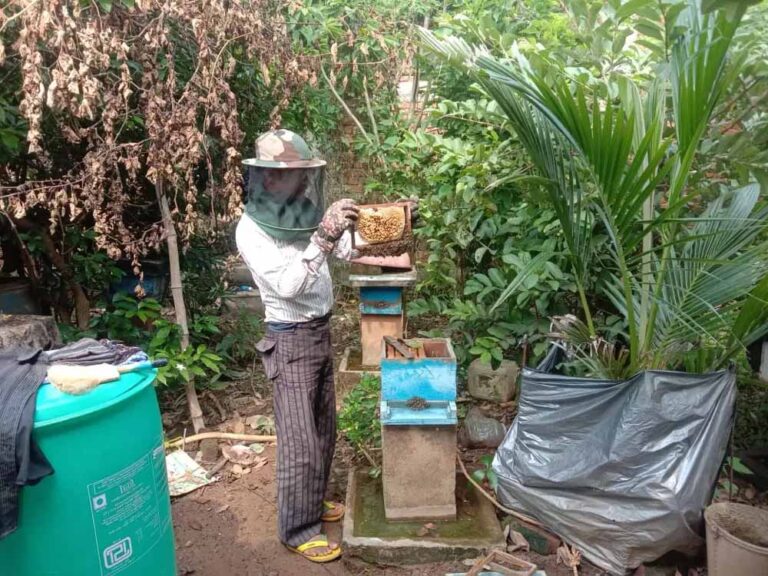 CG News: साय सरकार में खेती के साथ मधुमक्खी पालन बनीं उदय राम की रोजगार की कुंजी