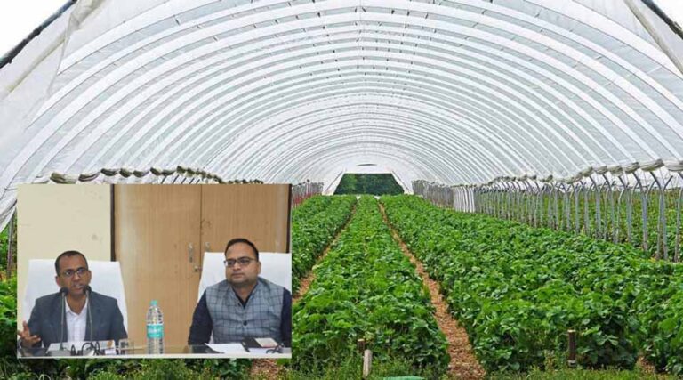 पीवीटीजी क्षेत्रों में उद्यानिकी योजनाओं के प्रभावी क्रियान्वयन पर विशेष फोकस करें: कलेक्टर वसंत पीवीटीजी क्षेत्रों में उद्यानिकी योजनाओं के प्रभावी क्रियान्वयन पर विशेष फोकस करें: कलेक्टर वसंत