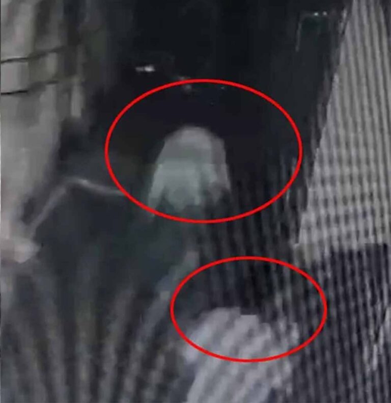 रायपुर के तेलीबांधा में गैंगवार में एक की हत्या रायपुर के तेलीबांधा में गैंगवार में एक की हत्या