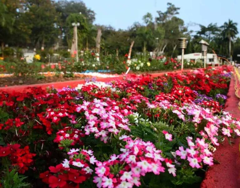 राज्य स्तरीय पुष्प प्रदर्शनी 30 जनवरी को भोपाल में