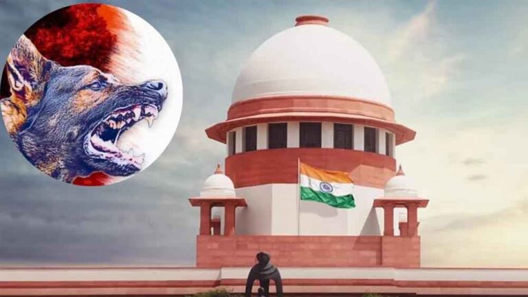 आवारा कुत्तों पर सुप्रीम कोर्ट में बहस: सिब्बल बोले– नसबंदी जरूरी, जज साहब ने ली चुटकी