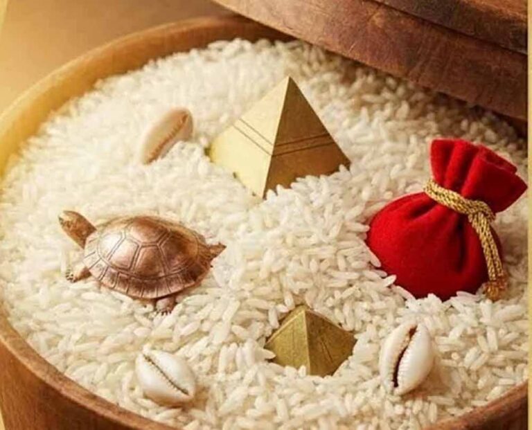 घर में नकारात्मकता? चावल के डिब्बे का यह उपाय करेगा वास्तु दोष खत्म