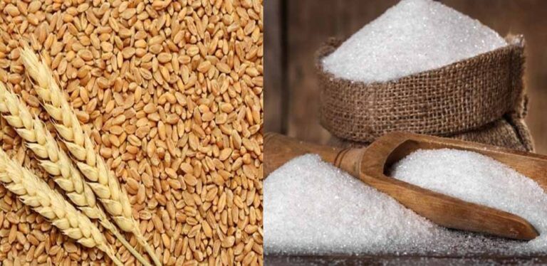 खुशखबरी! गेहूं और चीनी निर्यात पर सरकार का बड़ा फैसला, किसानों को होगा सीधा फायदा खुशखबरी! गेहूं और चीनी निर्यात पर सरकार का बड़ा फैसला, किसानों को होगा सीधा फायदा