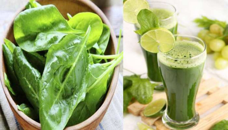 इम्युनिटी बूस्टर ड्रिंक: आसान क्रीमी पालक जूस रेसिपी इम्युनिटी बूस्टर ड्रिंक: आसान क्रीमी पालक जूस रेसिपी