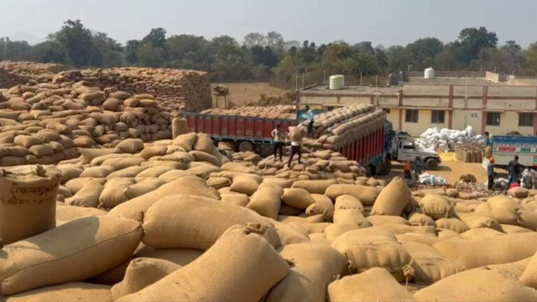 धान उठाव की रफ्तार धीमी पड़ी भारी, शासन ने मार्कफेड DMO किशोर चंद्रा को हटाया