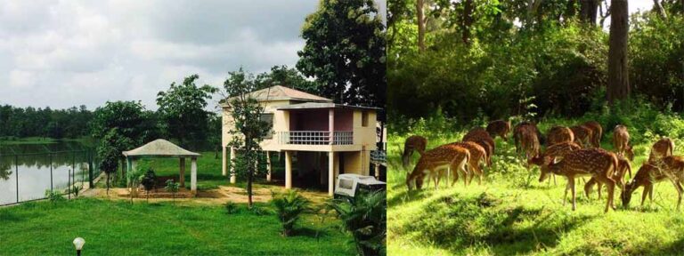 प्रकृति की गोद में रोमांच — बारनवापारा अभयारण्य की अनोखी दुनिया