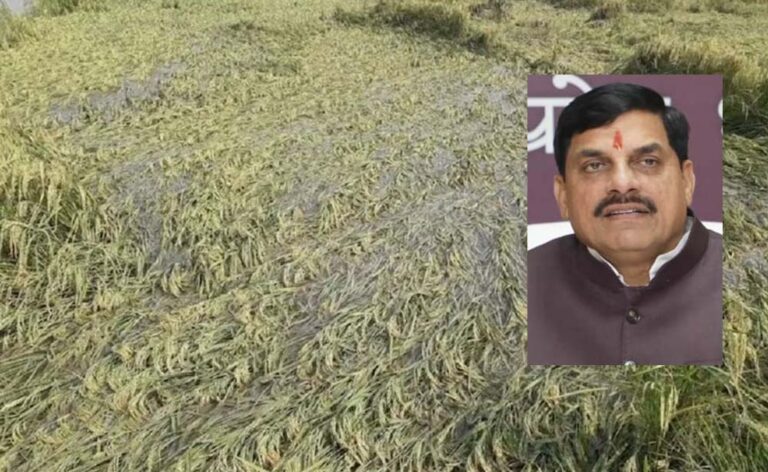 एमपी के 25 जिलों में बारिश से फसलें प्रभावित, सीएम मोहन ने दिए राहत उपायों के निर्देश