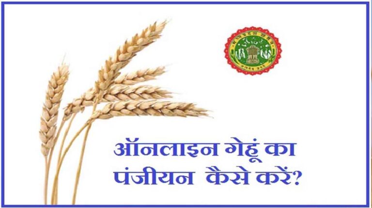 4 लाख 42 हजार से अधिक किसानों ने गेहूँ उपार्जन के लिए समर्थन मूल्य पर पंजीयन कराया