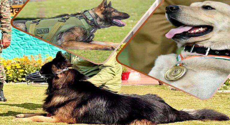 टॉयसन की राह पर CRPF के K9 सोल्जर्स, आतंक के खिलाफ तैयार खास फोर्स