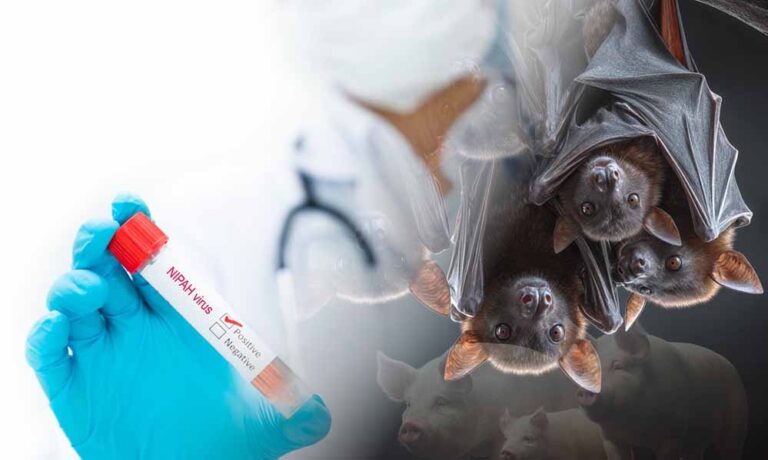 बांग्लादेश में निपाह वायरस की आहट, कच्चा खजूर रस पीने से महिला की मौत, WHO ने अलर्ट जारी किया