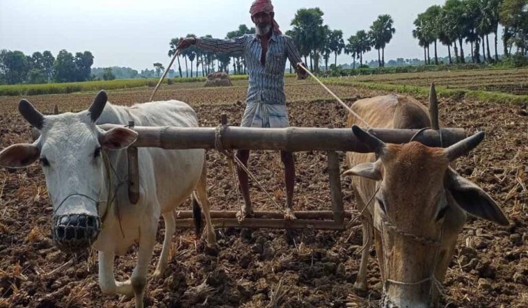 एमपी में जहर मुक्त खेती का ऐतिहासिक महायज्ञ, देशभर से किसान लेंगे हिस्सा