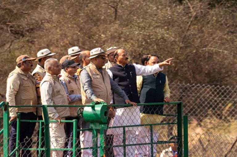 कूनो नेशनल पार्क में छोड़े गए बोत्सवाना से लाए गए 9 चीते