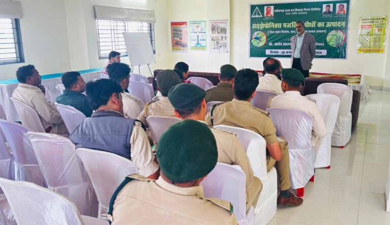 शहरी खेती का नया मॉडल: हाइड्रोपोनिक्स से टेरेस गार्डन में हरियाली