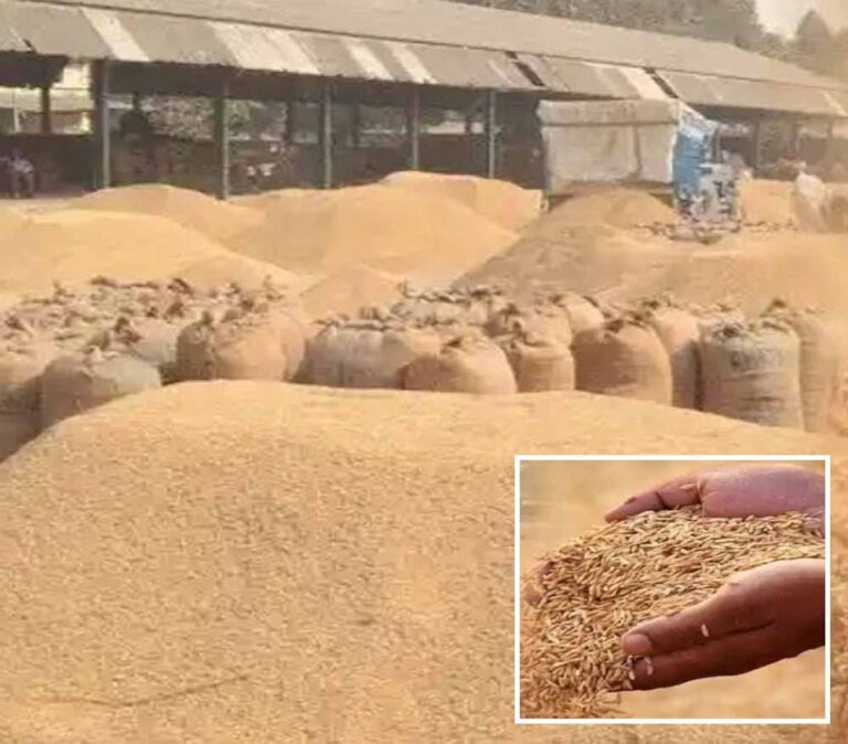550 किसानों को फिर मिला धान बेचने का मौका
