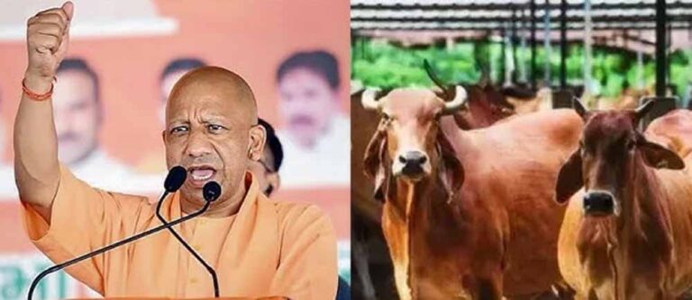 योगी सरकार ने गोवंश के लिए किए ऐतिहासिक कार्य, पहले कभी नहीं मिली इतनी सुरक्षा-सहूलियत