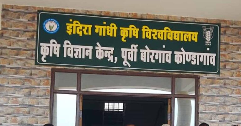 कोंडागांव में कसावा खेती की नई पहल, कृषि विज्ञान केंद्र ने किया नवाचार