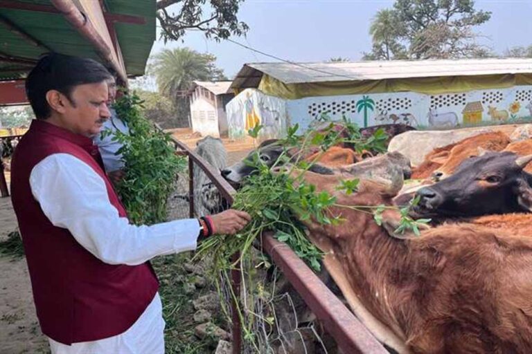 उप मुख्यमंत्री शुक्ल ने लक्ष्मणबाग गौशाला का किया भ्रमण उप मुख्यमंत्री शुक्ल ने लक्ष्मणबाग गौशाला का किया भ्रमण