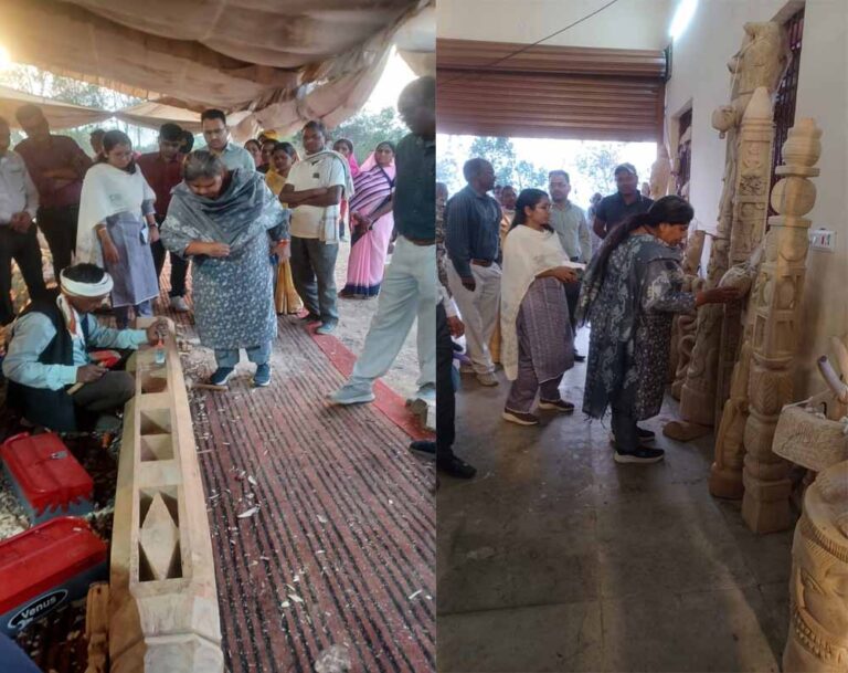 ग्रामीण शिल्प को मिला प्रशासनिक संबल, कमिश्नर ने देखा काष्ठ कला का काम