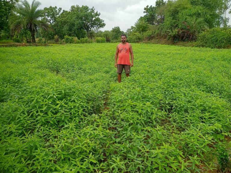खेती में नवाचार की पहचान: किसान सुरेश कुमार नाग को ‘भुइयां के भगवान’ सम्मान खेती में नवाचार की पहचान: किसान सुरेश कुमार नाग को ‘भुइयां के भगवान’ सम्मान