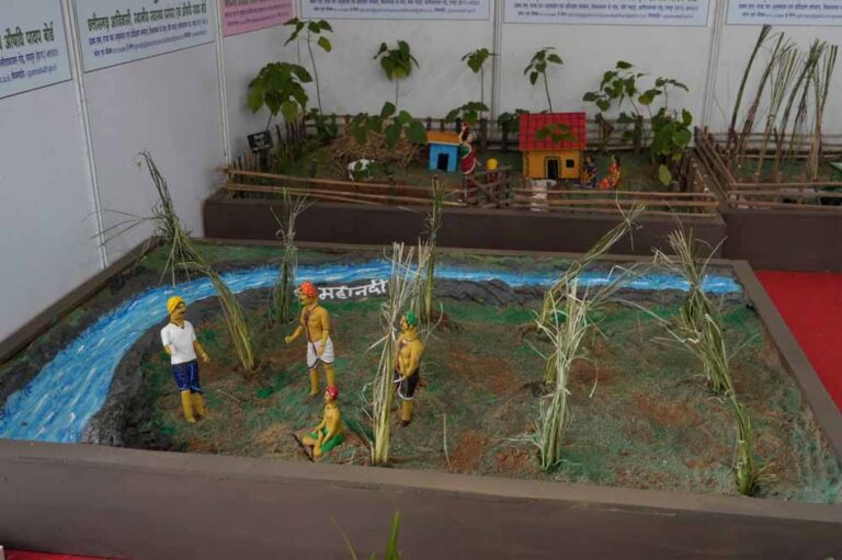 औषधीय व सुगंधित फसलों की ओर आकर्षित हुए किसान, मेले में दिखा उत्साह