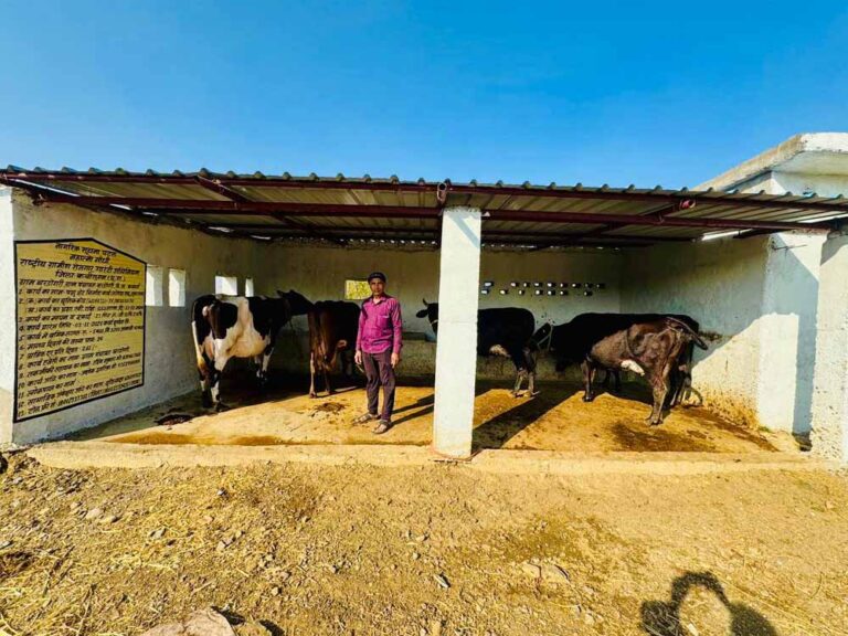 महिला शक्ति और वनोपज का सफल संगम, हरिबोल स्व-सहायता समूह ने रचा आर्थिक सशक्तिकरण का उदाहरण