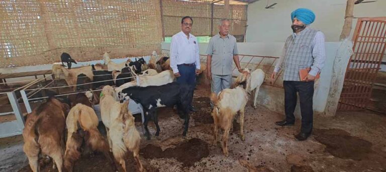 दुर्ग, बालोद और बेमेतरा जिले पहुंचकर योजनाओं का किया निरीक्षण, पशुपालकों से की चर्चा