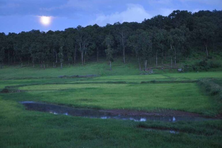 मुख्यमंत्री  विष्णु देव साय करेंगे मैनपाट महोत्सव का शुभारंभ