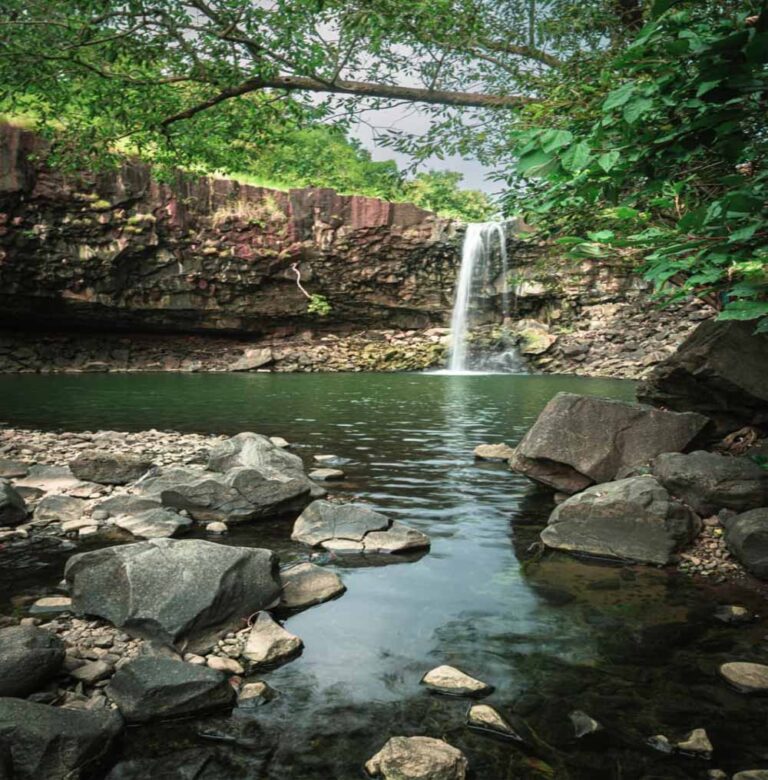 विंध्य अंचल का खजाना: खिवनी अभयारण्य उभरता इको-टूरिज्म हॉटस्पॉट