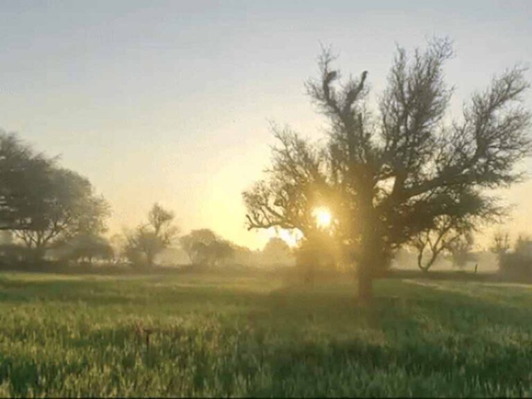 छत्तीसगढ़ में लगातार तीसरे दिन सबसे अधिक तापमान दर्ज