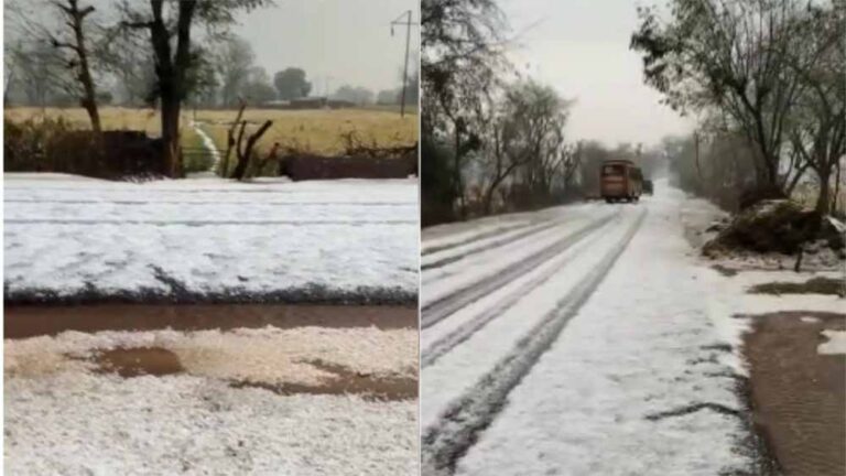 ग्वालियर में आसमानी आफत: ओलावृष्टि से खेत बर्फ में तब्दील, फसलें चौपट, किसान की मौत