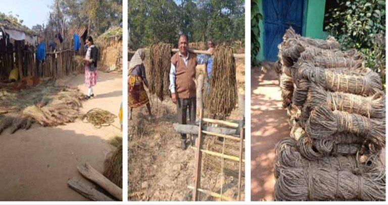 आत्मनिर्भर भारत की मिसाल: सबई घास से रस्सी निर्माण