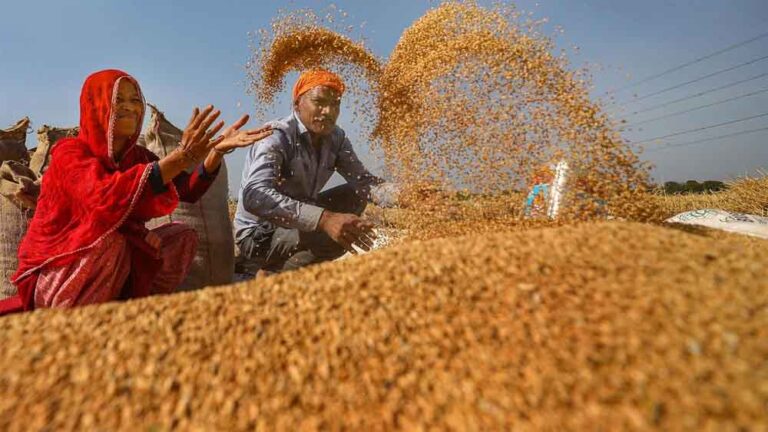 20 हजार से अधिक किसानों ने समर्थन मूल्य पर गेहूँ उपार्जन के लिये कराया पंजीयन : मंत्री राजपूत