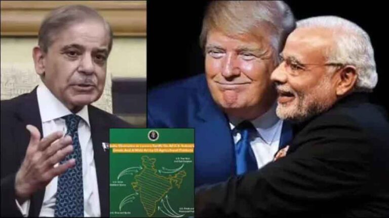 कश्मीर पर भारत का स्टैंड देख तिलमिलाया पाकिस्तान, US से लगाई मदद की गुहार