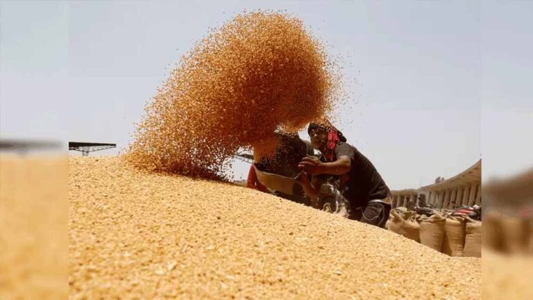 आष्टा मंडी में रबी सीजन की शुरुआत, 2585 रुपये MSP से किसानों की उम्मीदें बढ़ीं आष्टा मंडी में रबी सीजन की शुरुआत, 2585 रुपये MSP से किसानों की उम्मीदें बढ़ीं