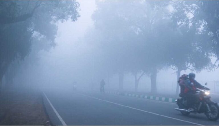 एमपी के 8 शहरों में पारा 10 डिग्री से नीचे, राजगढ़ में 7 डिग्री सेल्सियस तापमान, 30 जिलों में कोहरा