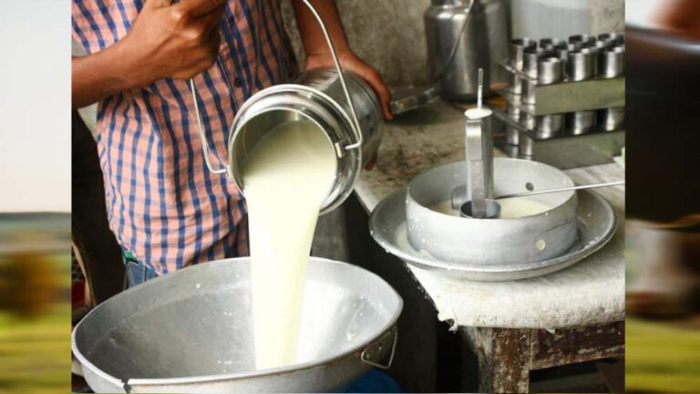 मध्य प्रदेश में दूध उत्पादकों के लिए लाइसेंस अनिवार्य, शुद्धता पर रखी जाएगी कड़ी निगरानी