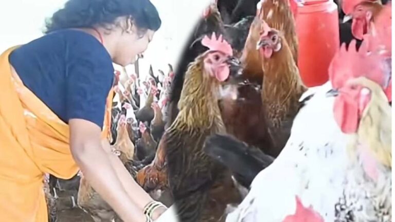 आजीविका मिशन ने बदली किस्मत, धमतरी की योगेश्वरी देवांगन बनीं प्रेरणादायक महिला